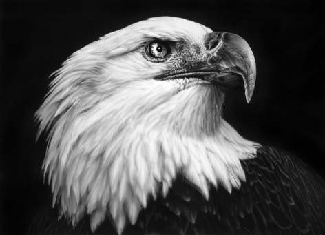 Robert Longo, Untitled (Portrait of Hubris), 2018.