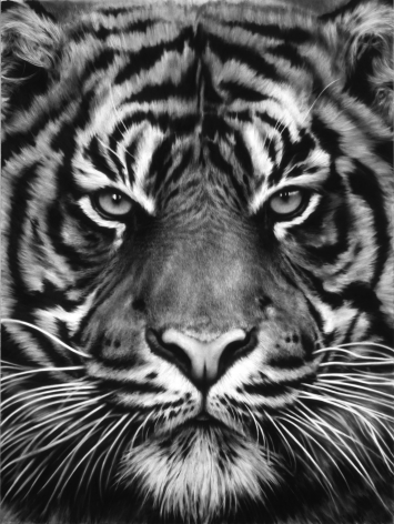 Untitled (Tiger Head, No. 8), 2012.