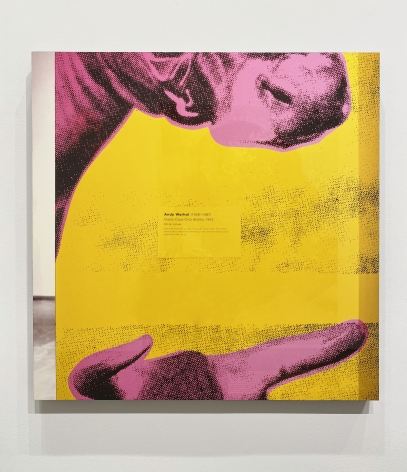 Louise Lawler, Pink and Yellow and Black II (Green Coca Cola Bottles)