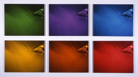 Something About Time and Space But Iâm Not Sure What It Is, 1998. 12 cibachrome (museum mounted), (6 prints) 18 3/4 x 23 1/2 inches; (6 prints) 24 x 29 1/2 inches. Unique set. MP 426