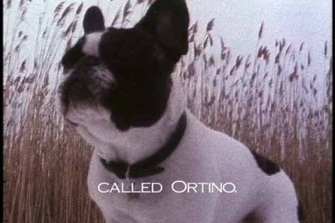 Still from "Garland #1", 2003. 16 mm film, 8 Minutes, 6 Seconds. Edition of 5. MP F-42