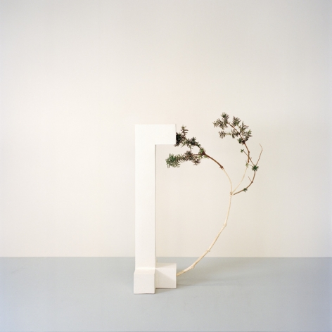 Camille Henrot, Robin Hood, 2014.