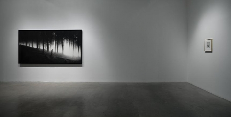 "Surrendering the Absolutes," installation view, 2009. Metro Pictures, New York.