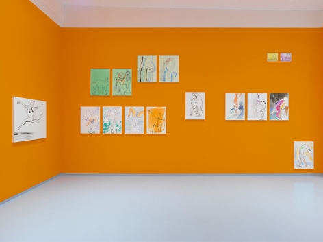 Born, Never Asked. Installation view, 2018. Metro Pictures, New York.