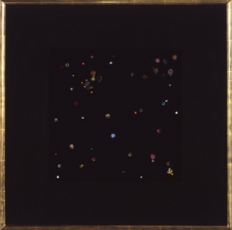Black Velvet Study #1, 2002. Acrylic on black velvet mounted on wooden panels, 24 1/4 x 24 1/4 inches. MP 02-19