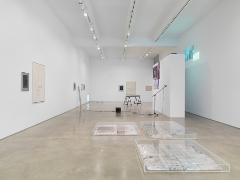 Alterity Line. Installation view, 2018. Metro Pictures, New York.
