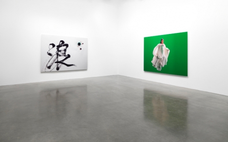 Ten Thousand Waves, 2011, installation view. Metro Pictures, New York.