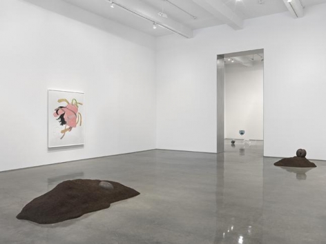 Installation View, 2015. Metro Pictures, New York.