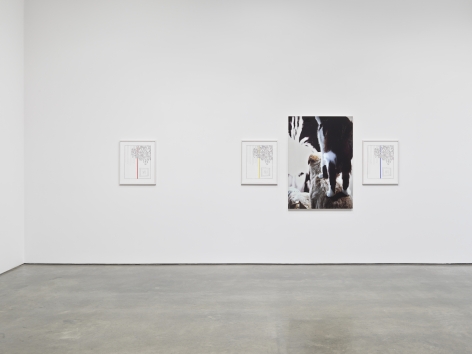 One Show on Top of the Other. Installation view, 2021. Metro Pictures, New York.