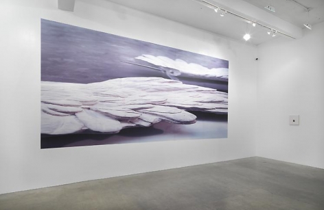 Louise Lawler