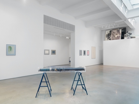 Alterity Line. Installation view, 2018. Metro Pictures, New York.