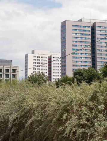 John Miller photograph 'Untitled (07-09-08)'
