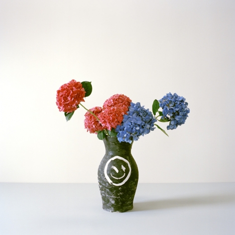 Camille Henrot, You've Always Been Wrong - René Daumal, 2014.