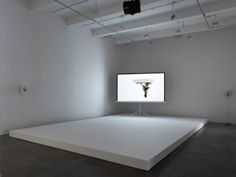 Installation view, 2013. Metro Pictures, New York.