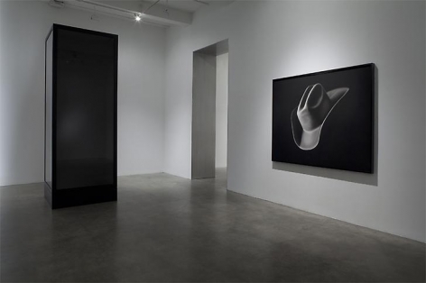 "Surrendering the Absolutes," installation view, 2009. Metro Pictures, New York.
