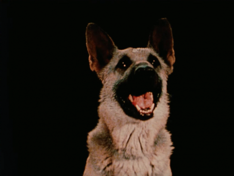 Jack Goldstein film still of 'Shane'