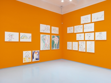 Born, Never Asked. Installation view, 2018. Metro Pictures, New York.