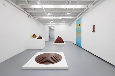 Institute of Contemporary Art, Miami. Installation view, 2016.