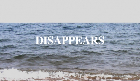 John Miller & Takuji Kogo, still from A Small Fish (In a Big Sea), 2010/2011. Single-channel video, flash files, duration: 3 minutes 38 seconds.