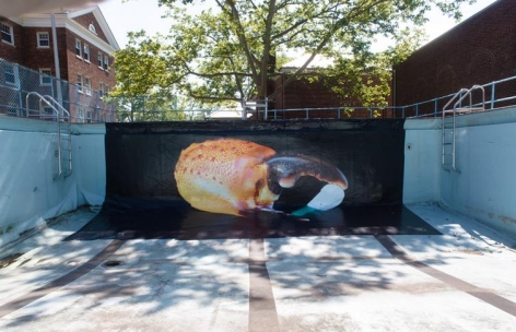 Visitors. Installation view, 2015. Governor's Island, New York.