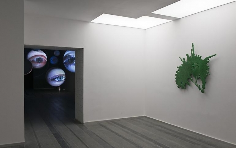 "agentic iced etcetera," installation view, 2013. PinchukArtCentre, Ukraine.