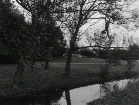 Broken fall (organic), Amsterdamse Bos, Holland, 1971