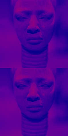 Sara VanDerBeek - Women & Museums III, 2019.