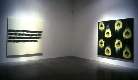 "Criminal Slang," installation view, 2004. Metro Pictures, New York.