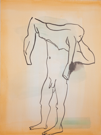 Camille Henrot, Winter Skin 1, 2019.