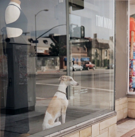 John Miller untitled photograph from 1996