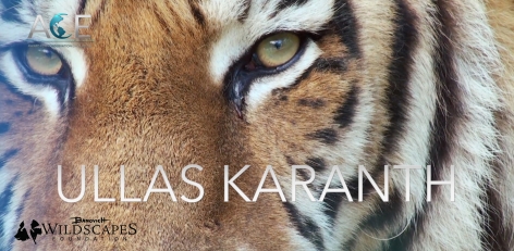 2018 ACE Award for Conservation Excellence Nominee-Ullas Karanth, PhD