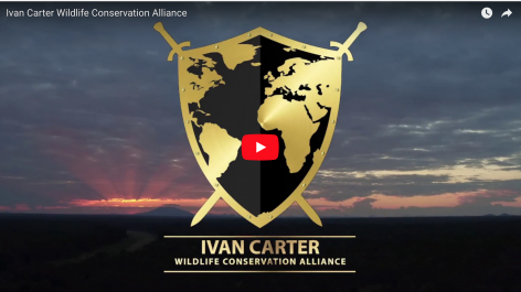 Ivan Carter Wildlife Conservation Alliance