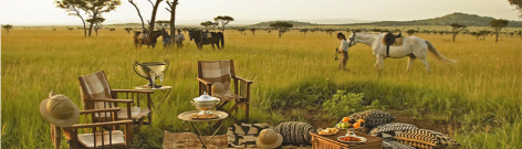 Homann's Africa