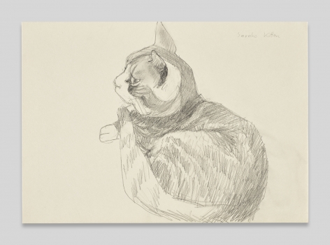 Maria Lassnig, Sarahs Kitten