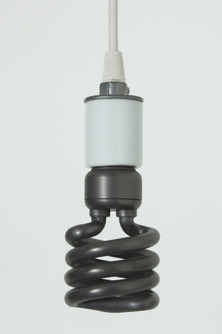Adam McEwen, Energy Saving Bulb