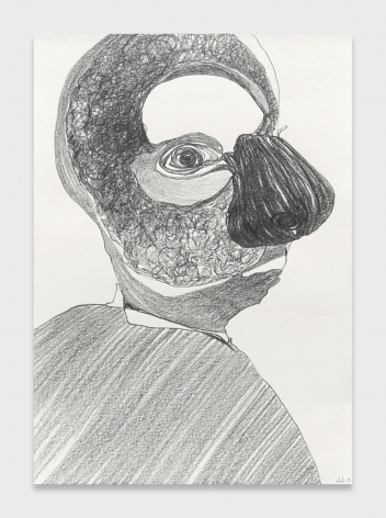Nicola Tyson, Nose