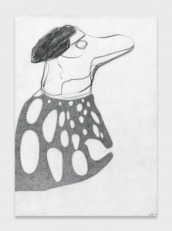Nicola Tyson, Rain Smock