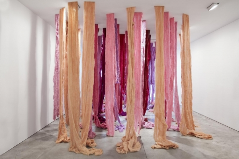 CECILIA VICUÑA La India Contaminada
installation view 1