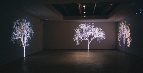 Jennifer Steinkamp: Digital Nature, Installation view, Telefónica Foundation Space, Madrid, Spain