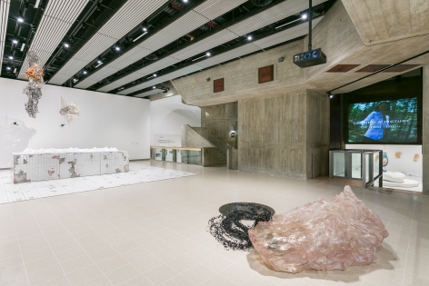 Installation view Hayward Gallery, 2018