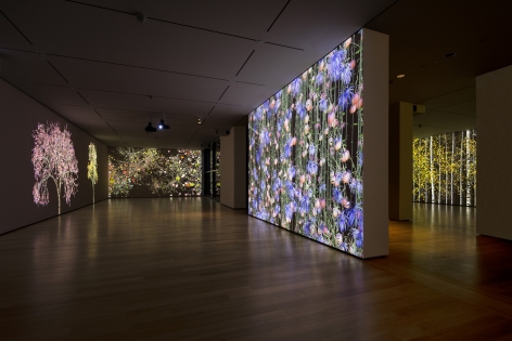 JENNIFER STEINKAMP, Blind Eye