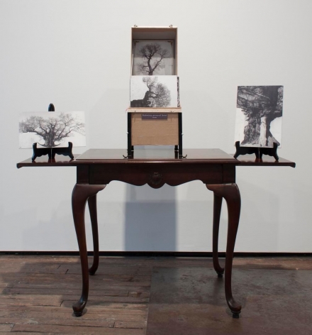 PATRICK VAN CAECKENBERGH