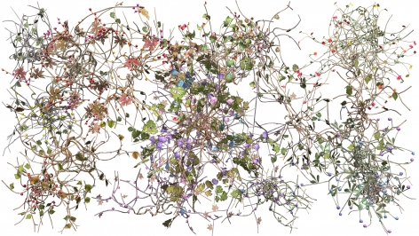 JENNIFER STEINKAMP Diaspore 1 (film still), 2014