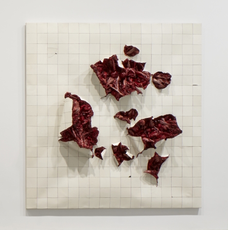 ADRIANA VAREJÃO, Folds 2, 2003