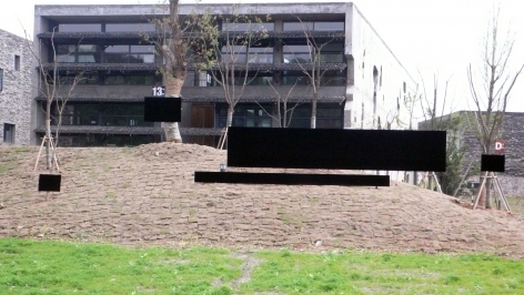 LIU WEI, Dark Matter, 2008