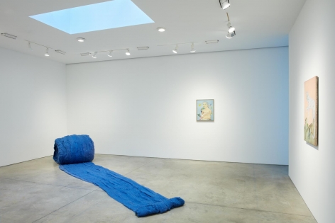 CECILIA VICUÑA La India Contaminada
installation view 5