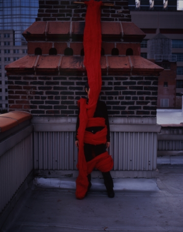 CECILIA VICUÑA Quipu vivo, 2006