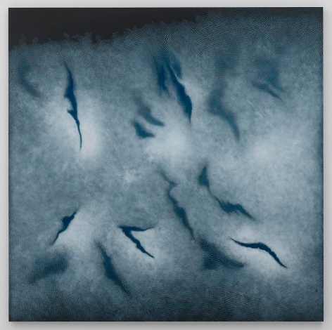 SHIRAZEH HOUSHIARY Chasm, 2012