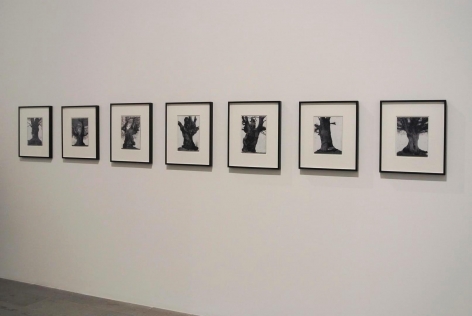 Installation view, 55th International Venice Biennale