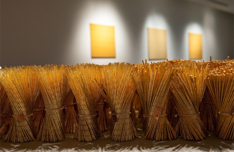 麗莎·露 Gather (one million) (detail), 2010